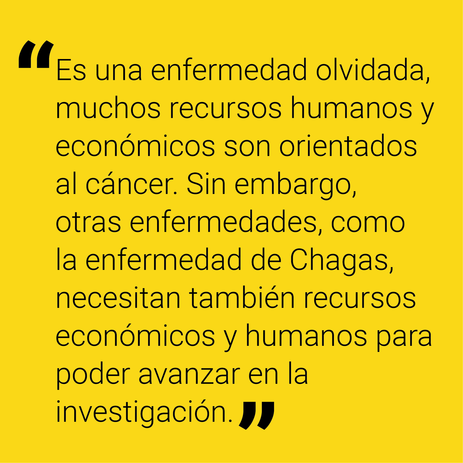 FRASE JT 01