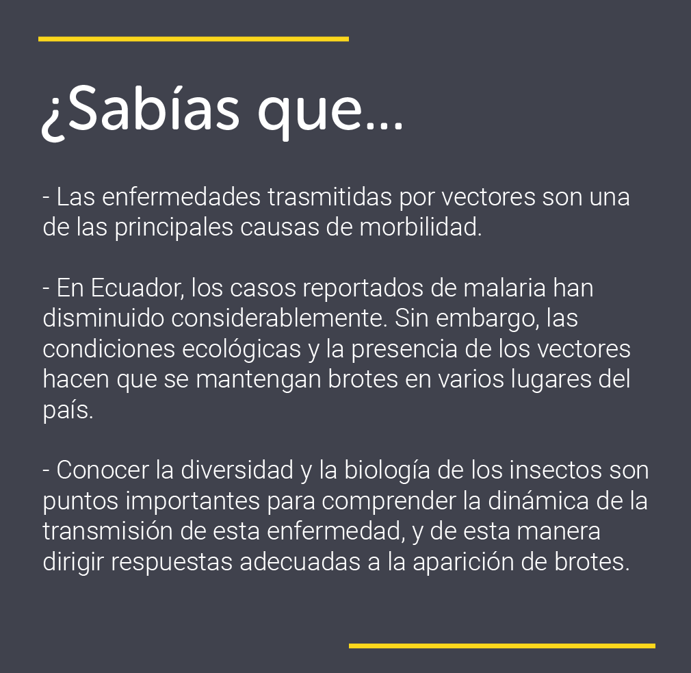 Investigacionesactuales sofiaoacana Mesa de trabajo 1
