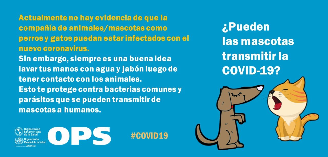coronavirus myth busters 11 spa v3
